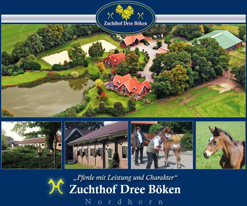 Zuchthof Dree Böken Nordhorn